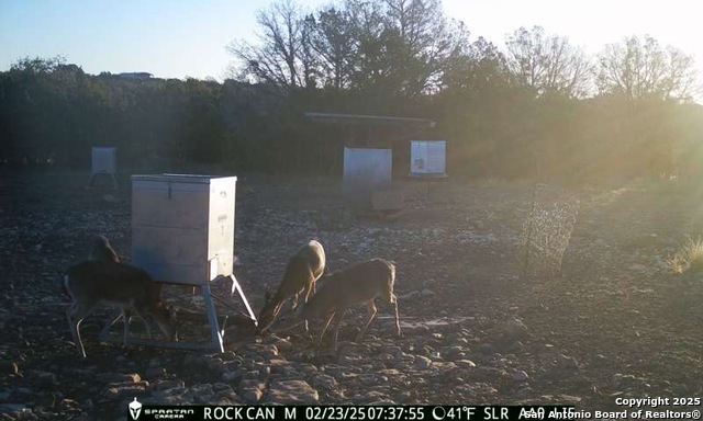 Listing photo id 18 for 3190 Sd 24910