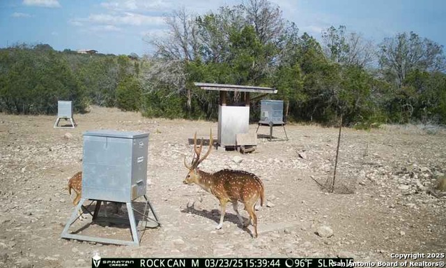 Listing photo id 23 for 3190 Sd 24910