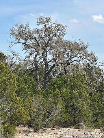 Listing photo id 49 for 3190 Sd 24910