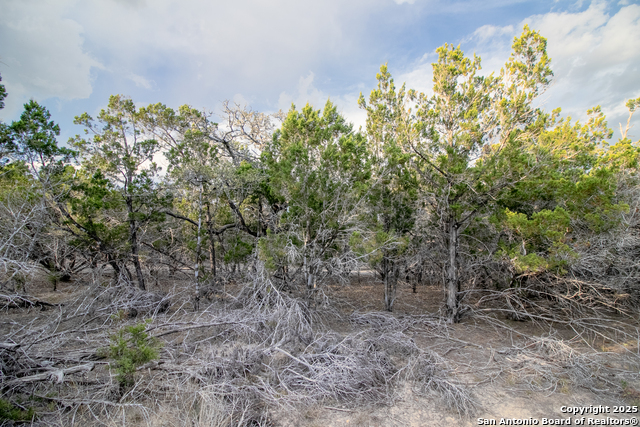 Image 20 of 30 For 49 Cool Creek