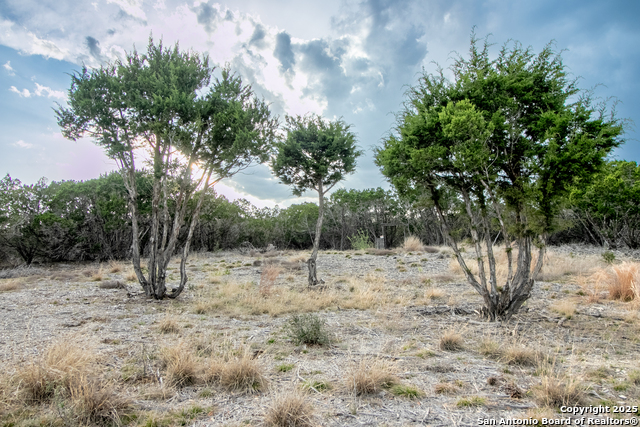 Image 9 of 30 For 49 Cool Creek