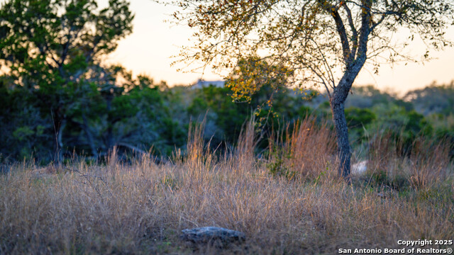 Listing photo id 8 for 1400 Panther Creek