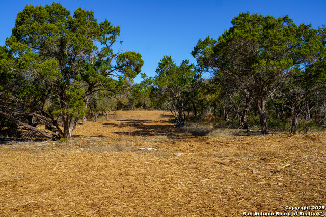 Listing photo id 10 for 1400 Panther Creek