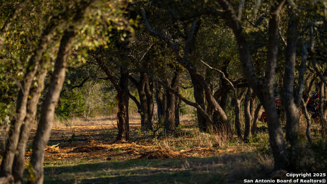Listing photo id 12 for 1400 Panther Creek