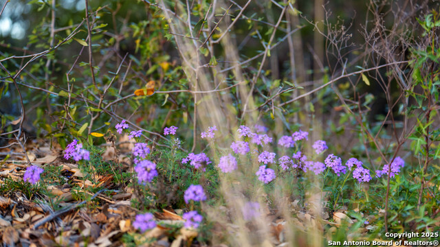 Listing photo id 21 for 1400 Panther Creek