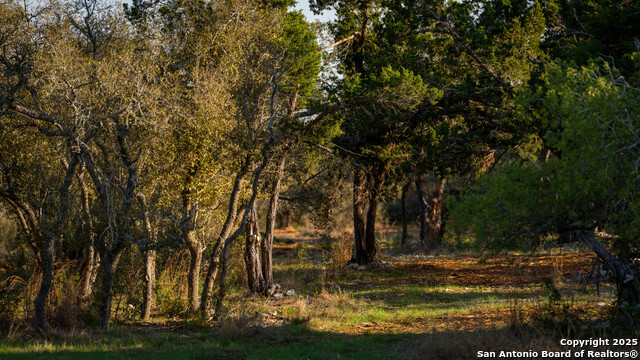 Listing photo id 35 for 1400 Panther Creek