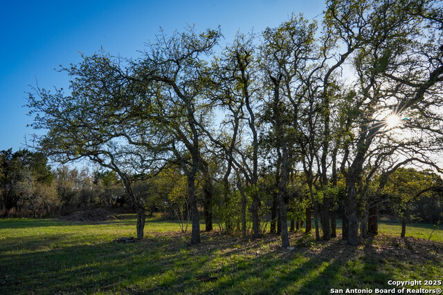 Listing photo id 3 for 1400 Panther Creek
