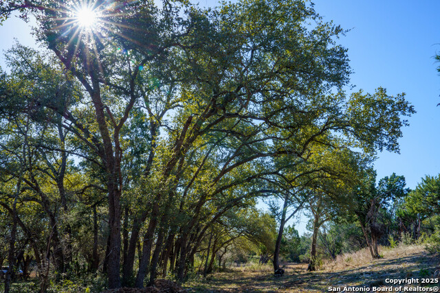 Listing photo id 7 for 1400 Panther Creek