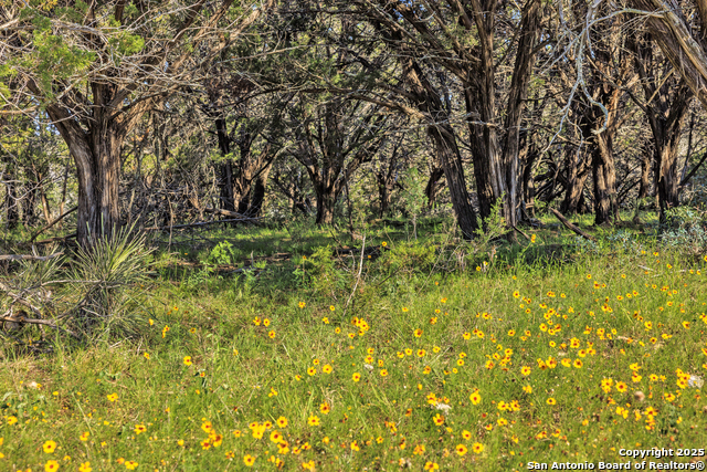Image 63 of 68 For 2937 Langes Mill Road