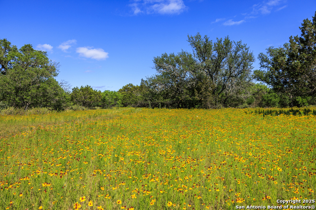 Image 11 of 12 For 2195 Langes Mill Road