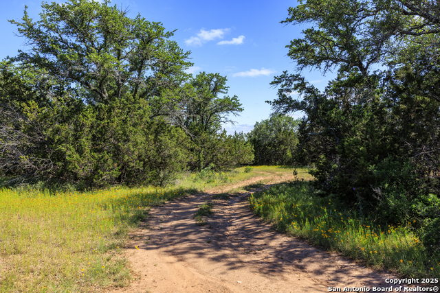 Image 8 of 12 For 2195 Langes Mill Road