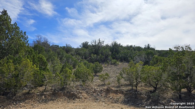 Listing photo id 73 for 474 Lost Ln.