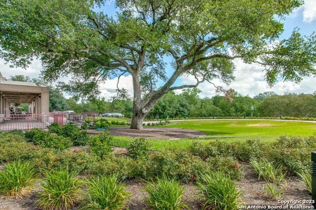 Listing photo id 36 for 1 Towers Park Ln 1703