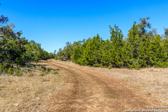 Image 16 of 24 For 0000 Keese Road