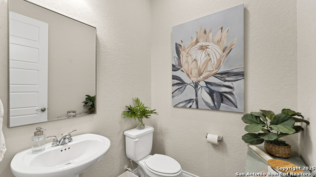 Image 32 of 44 For 2150 Wildrye