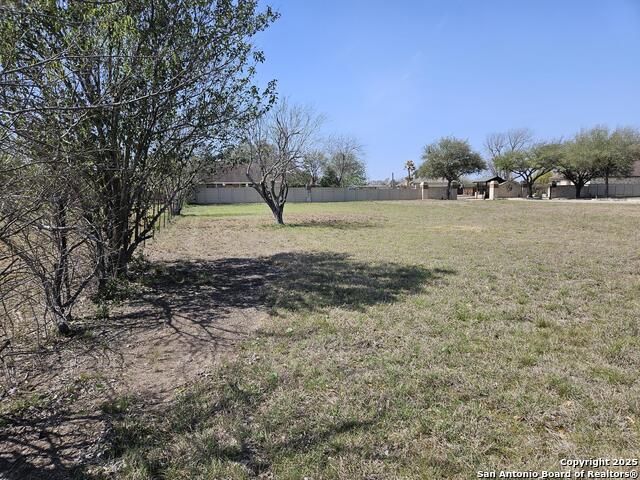 Listing photo id 1 for Tbd Hwy 46 - Allens Bend