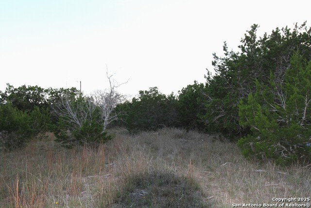 Image 15 of 23 For 73 Table Rock