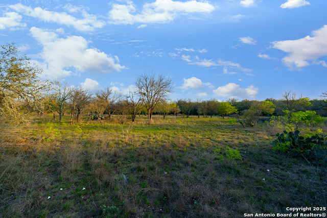 Details for 247 County Road 4802, Castroville, TX 78009