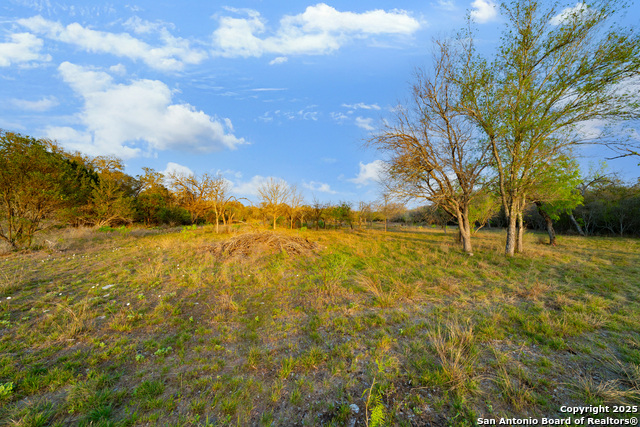 Image 4 of 19 For 247 County Road 4802