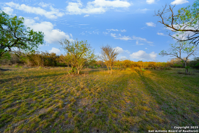 Image 5 of 19 For 247 County Road 4802