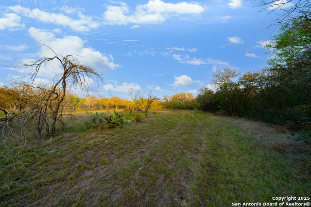 Image 6 of 19 For 247 County Road 4802