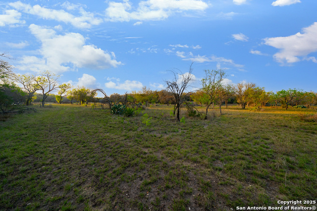 Image 7 of 19 For 247 County Road 4802