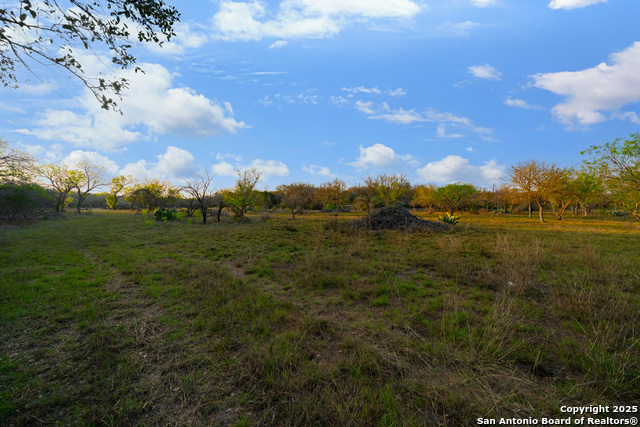 Image 8 of 19 For 247 County Road 4802