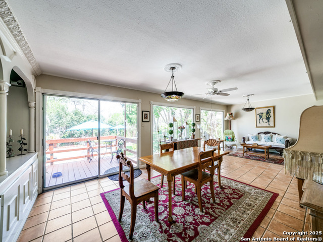 Image 7 of 25 For 2019 Flamingo