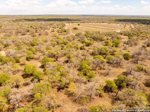 Image 30 of 48 For 0 Blackjack Trail