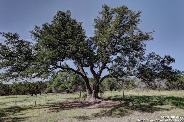 Image 55 of 76 For 647 Blue Sage Loop