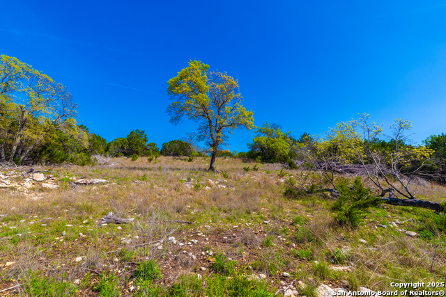 Image 10 of 33 For 231 Greystone