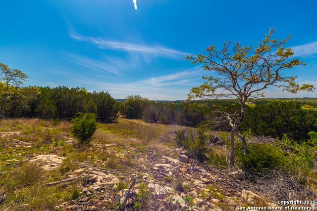 Image 11 of 33 For 231 Greystone