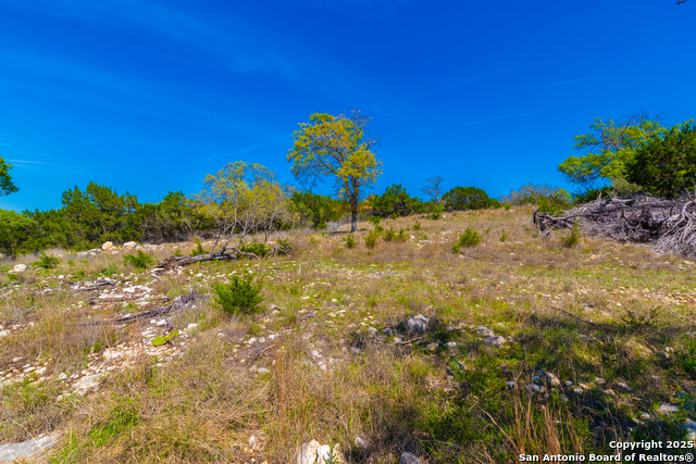 Image 16 of 33 For 231 Greystone