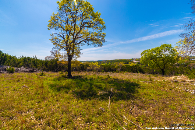 Image 6 of 33 For 231 Greystone
