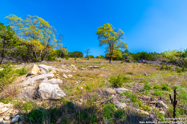 Image 9 of 33 For 231 Greystone