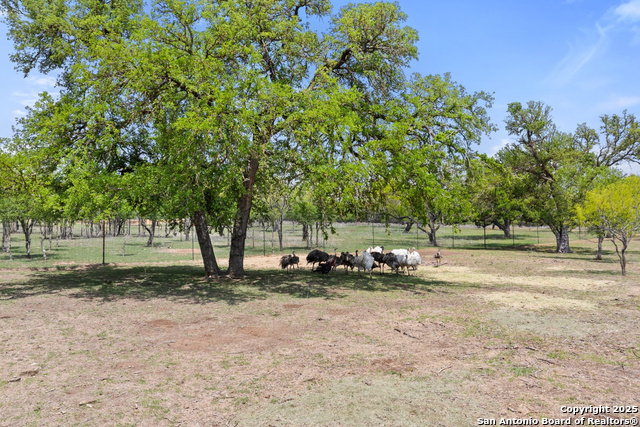 Image 62 of 71 For 10900 Ranch Road 1323