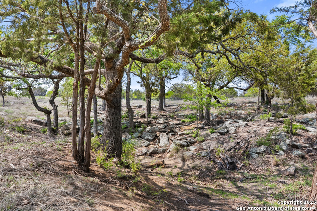 Image 64 of 71 For 10900 Ranch Road 1323