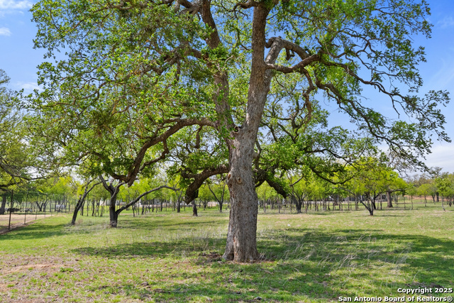 Image 66 of 71 For 10900 Ranch Road 1323