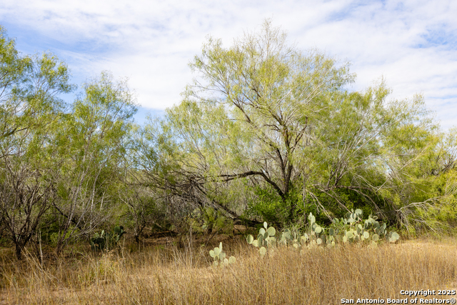 Listing photo id 4 for 9 Fm 1581