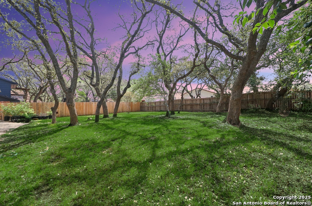 Image 30 of 35 For 2114 Oak Wild