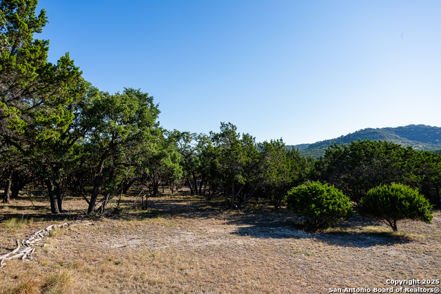 Image 14 of 43 For 2844 Bear Springs Rd