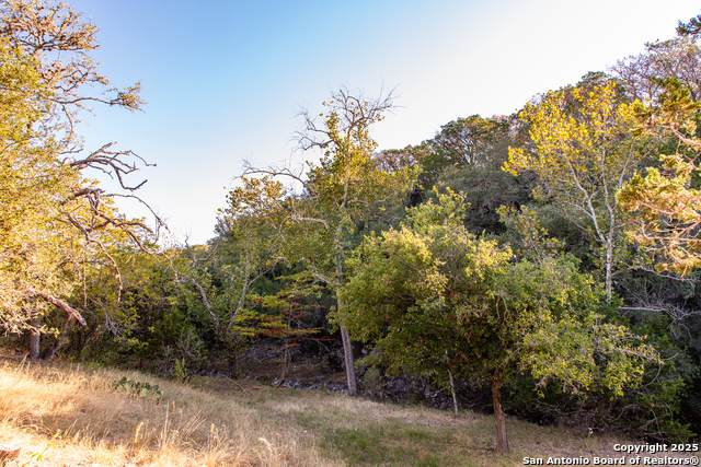 Image 25 of 43 For 2844 Bear Springs Rd