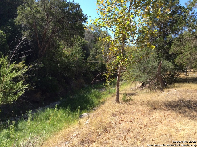 Image 41 of 43 For 2844 Bear Springs Rd