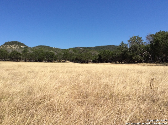 Image 42 of 43 For 2844 Bear Springs Rd