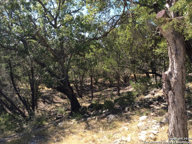 Image 43 of 43 For 2844 Bear Springs Rd