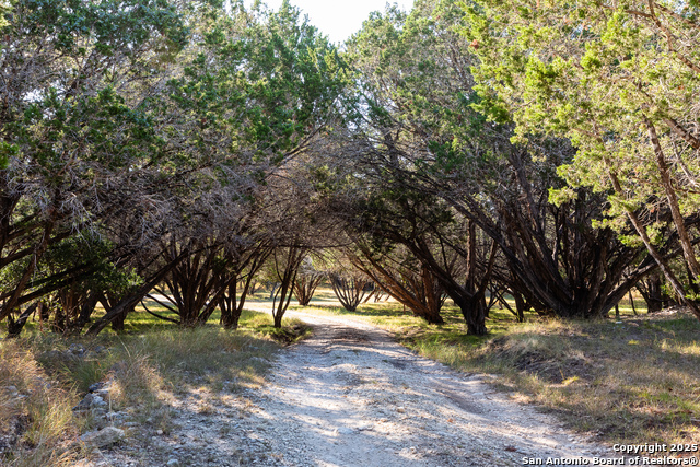 Image 17 of 50 For 2844 Bear Springs