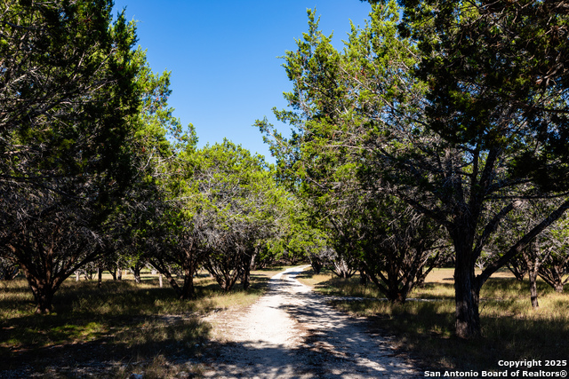 Image 21 of 50 For 2844 Bear Springs