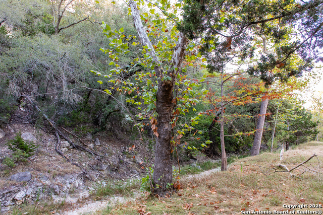 Image 22 of 50 For 2844 Bear Springs