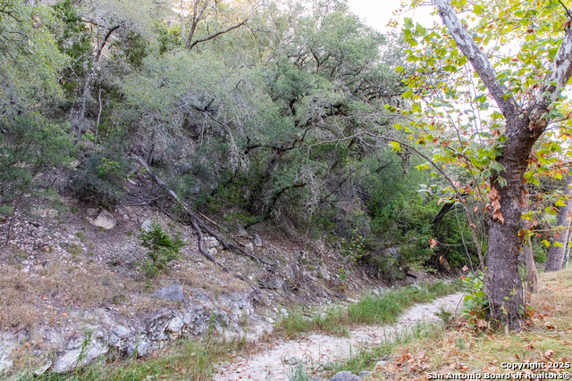 Image 23 of 50 For 2844 Bear Springs