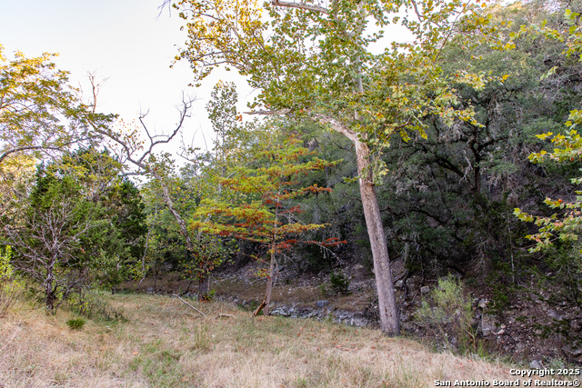 Image 24 of 50 For 2844 Bear Springs
